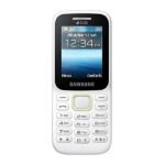 Samsung Guru Music 2 SM-B310E Keypad Phone-Random colour